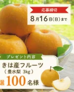 ファミリーファッションやまだい | 福岡・熊本を中心に展開。豊富な品